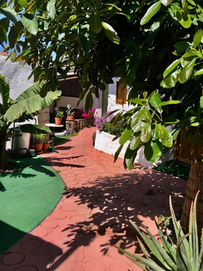 Finca Casa Madera 1 Icod De Los Vinos Exterior foto